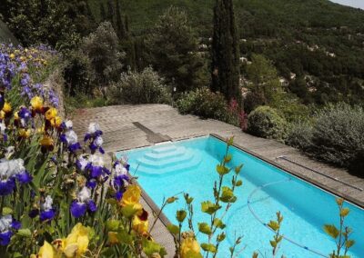 bigarade_piscine_iris